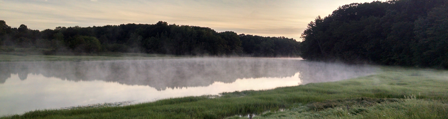 exeter river fog